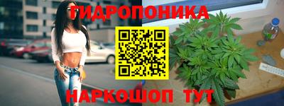 PSILOCYBIN Уссурийск