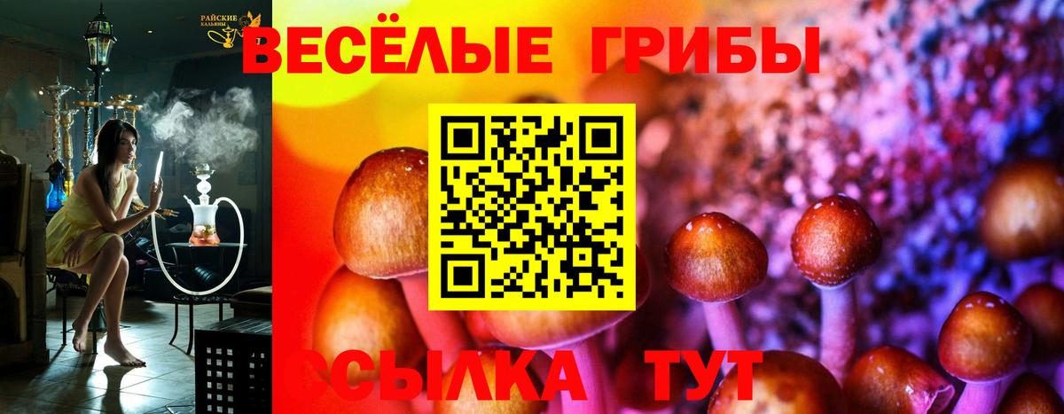 Псилоцибиновые грибы ЛСД Брянск