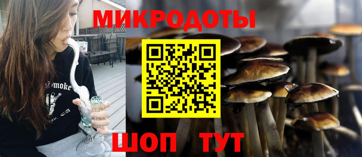 Брянск  Галлюциногенные грибы GOLDEN TEACHER  цена   Псилоцибиновые грибы MAGIC MUSHROOMS  Вход с VPN 
